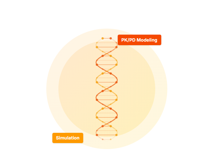 PK/PD modeling and simulation represented by a DNA helix